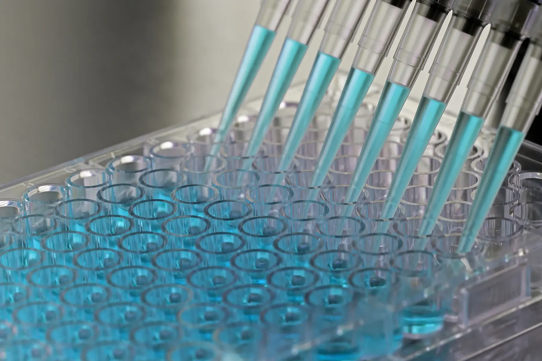 AdobeStock_102699290__Pipette__Large-Block